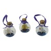 Sea-Club Flaschenschiff - Set Buddelschiff Glas Ø=5cm Maritime Dekoration