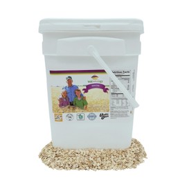 Rolled Oats, 10 lb Bucket, Lab tested Chemical Free, NON-GMO, Kosher Certified, Emergency Food Supply, 15 year shelf Life, Old Fashioned Oatmeal