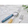 ANNOVA Silverware Set 20 Pieces Stainless Steel Color Handle With