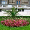 30 Pcs 24'' x 12'' Large Wire Plant Protector from