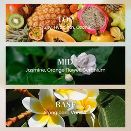 M&SENSE 6.5 oz Large Reed Diffuser Set | Jasmine Garland Scent Oil Diffuser with Sticks | Hotel Collection Non-Toxic Essential Oil |for Bedroom Bathroom Living Room