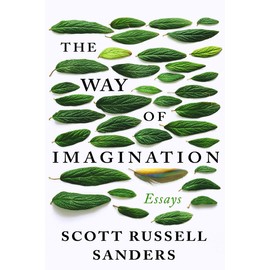 The Way of Imagination: Essays