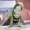 Bird Diaper Harness Flight Suit Clothes, Parrot Flight Suit with