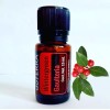 Doterra Aceite Esencial De Gaulteria Doterra 15 Ml