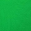 ProMaster Wrinkle Resistant Backdrop 10'x12' - Chroma-Key Green, (Model 2904)