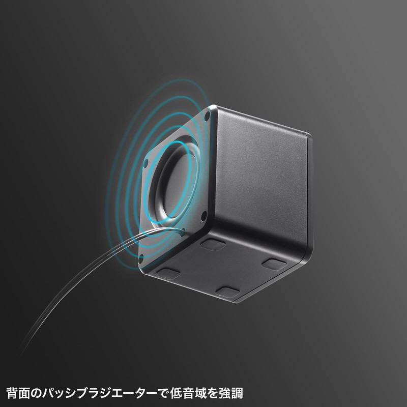 Sanwa Supply MM-SPU21BK PC Speaker, USB Powered, Compact, 6W, Passive