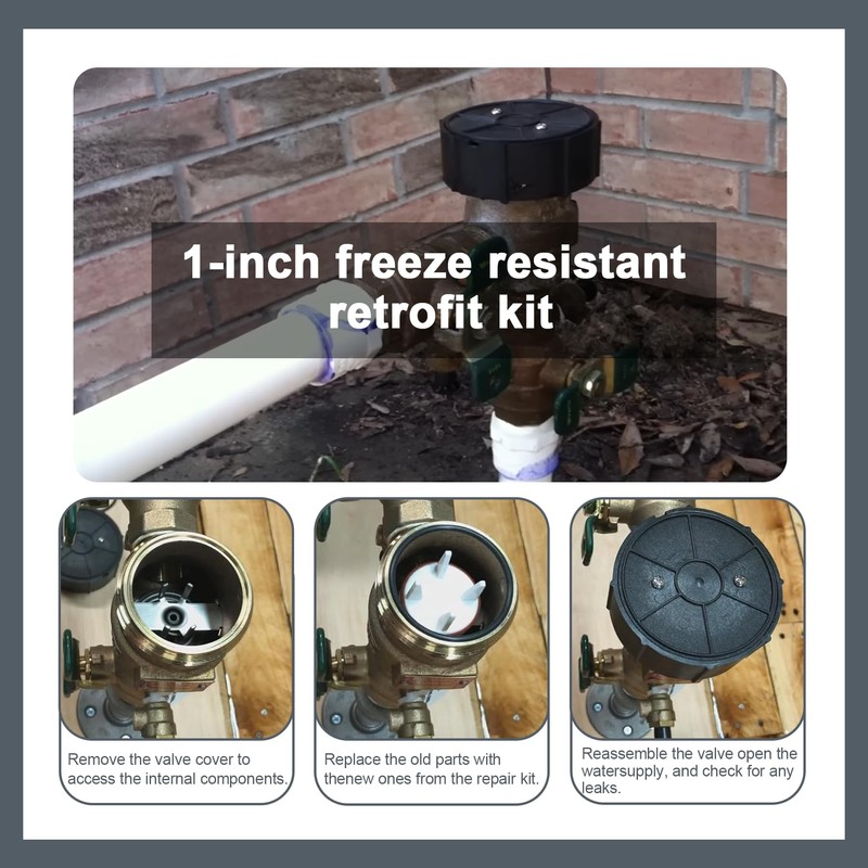 Thaekuns 0887718 1 Inch Backflow Convert Kit for WATTS 800M4-QT,