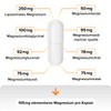 Intensive Performance Magnesium 915 mg I 8 Organic Magnesium Sources