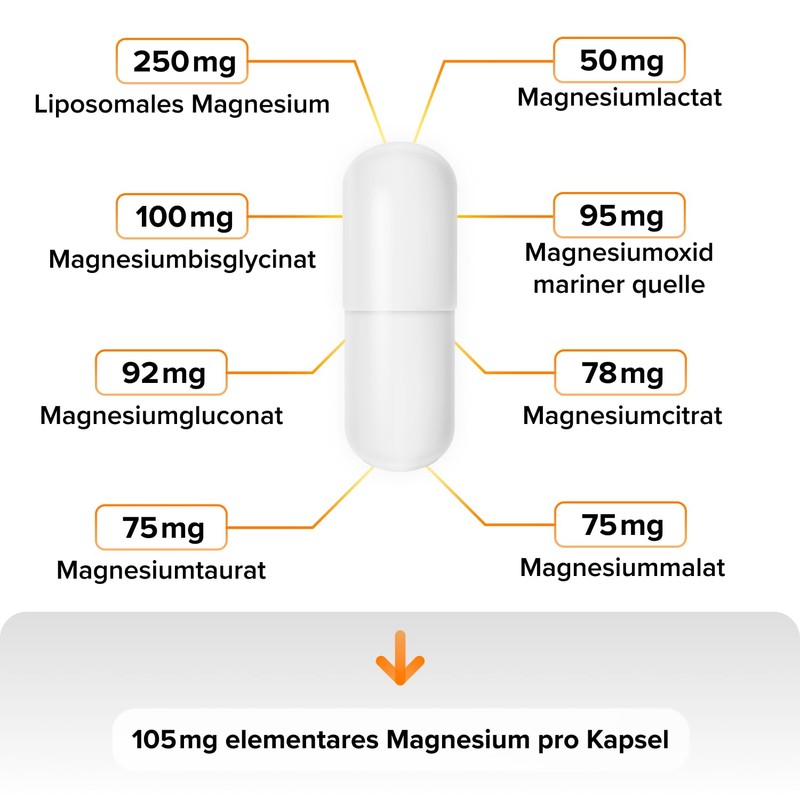 Intensive Performance Magnesium 915 mg I 8 Organic Magnesium Sources