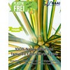 MAAJ Bath Brush 40 cm Hard Fibre Bristles Vegan Plastic