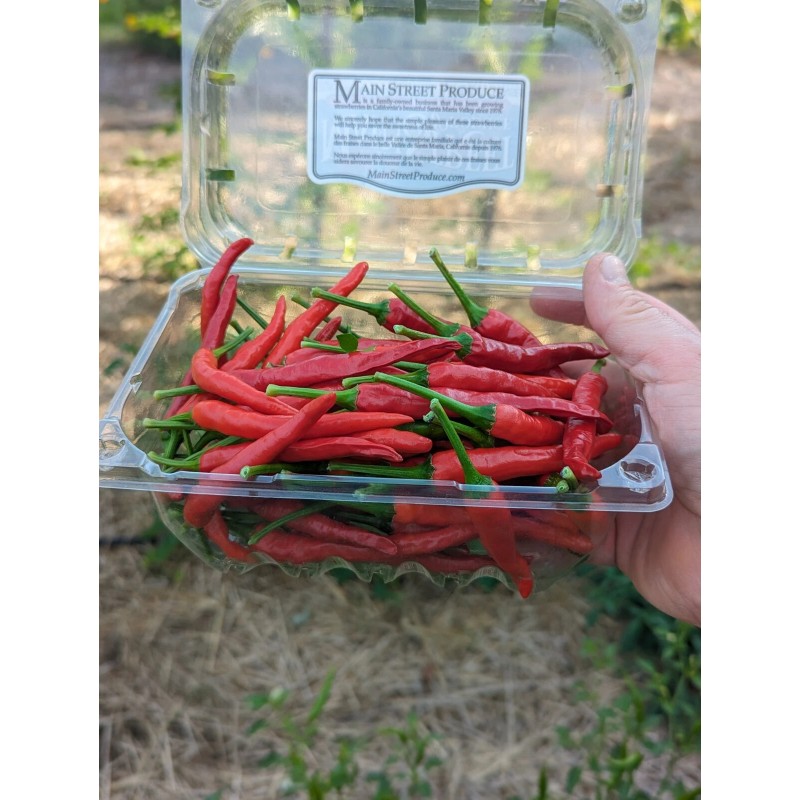 Fresh Cayenne (Cayenetta) Organic Pepper Seeds