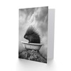 Artery8 Greeting Card Cute Porcupine in Bathtub Black White Surreal