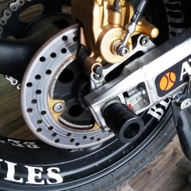 Swing Guard for Kawasaki ZX-6R 636 2003-2004