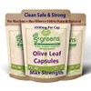 Olive Leaf Extract (Non-GMO) Super Strength: 40% Oleuropein - 450mg