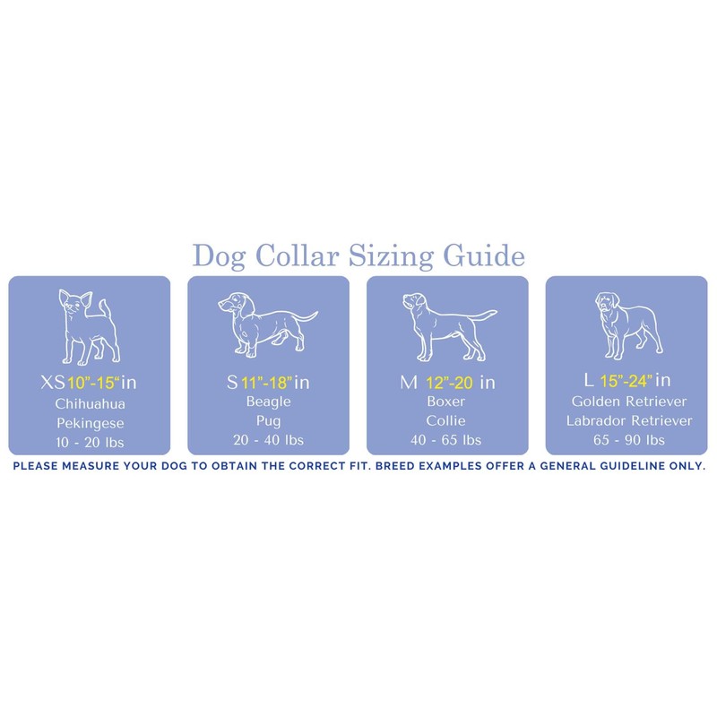 Guy Harvey Dog Collars (Pink Sea Turtle, X-Small ¾ 10”-15”)