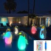 Supernight 2 Pack Solar Floating Penguin Lights with Remote Waterproof