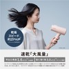 Panasonic EH-NE5L-H Dryer, Quick Drying, Large Airflow, Powerful Dry, Low