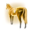 Equine America Horse & Pony Liver Flush Liquid Solution