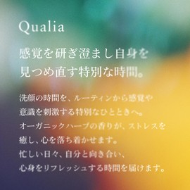 Qualia Facial Foam, Men's Foam Wash (Approx. 2 Months Supply), 5.3 fl oz (150 ml), Refreshing & Moisturizing Botanical Herbal Aroma, Facial Cleansing, Moisturizing, Moisturizing, Pores, Acne, Oily