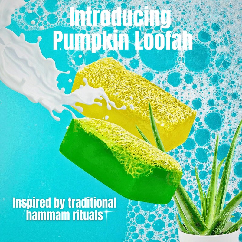 Earth Sabun Natural Handmade Pumpkin Fiber Aloe Vera Loofah for