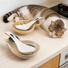 Aijohnny 2 Pack Cute Cat Ceramic Spoon Rest, Spoon Holder