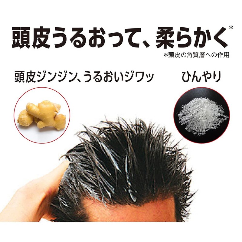 PRO TEC Scalp Stretch Conditioner Body Pump 10.6 oz (300