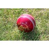 Cricket Ball - Red Leather Match Quality (Adult Men's, Senior)