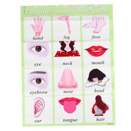 Operitacx Flipchart Chart Learning English Words Development Toy Wall Kids Toys Kids English Learning Poster Baby Teaching Aid Paper Alphabet Tool Preschool