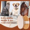 3 Pcs Shedding Stone for Dog Cat Hair Pumice Stone