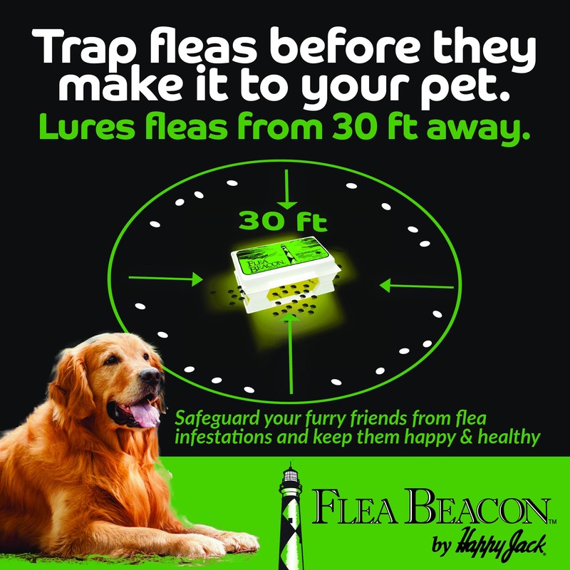 Happy Jack Gardstrips Replacement Glue Pads for Flea Traps, Attracts