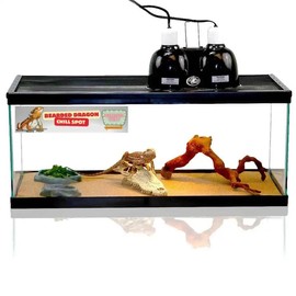 Reptile Tank Taggers - Options: Chameleon