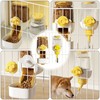 1L Pet Feeder Set, Small Animal Feeder and Drinker Set,