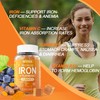 NEVISS 2 Pack Iron Gummies with Turmeric, Vitamin C+ Sugar