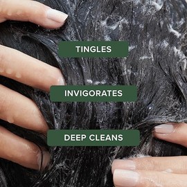 Tea Tree Special Champú, Limpieza Profunda, Refresca el Cuero Cabelludo, Para Todo Tipo de Cabello, Especialmente Cabello Graso, 1000 ml