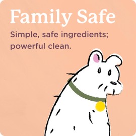 Shaw Floors Carpet Cleaner| Stain & Soil Remover for Carpet, Rugs, Upholstery and MORE | PACK OF 1