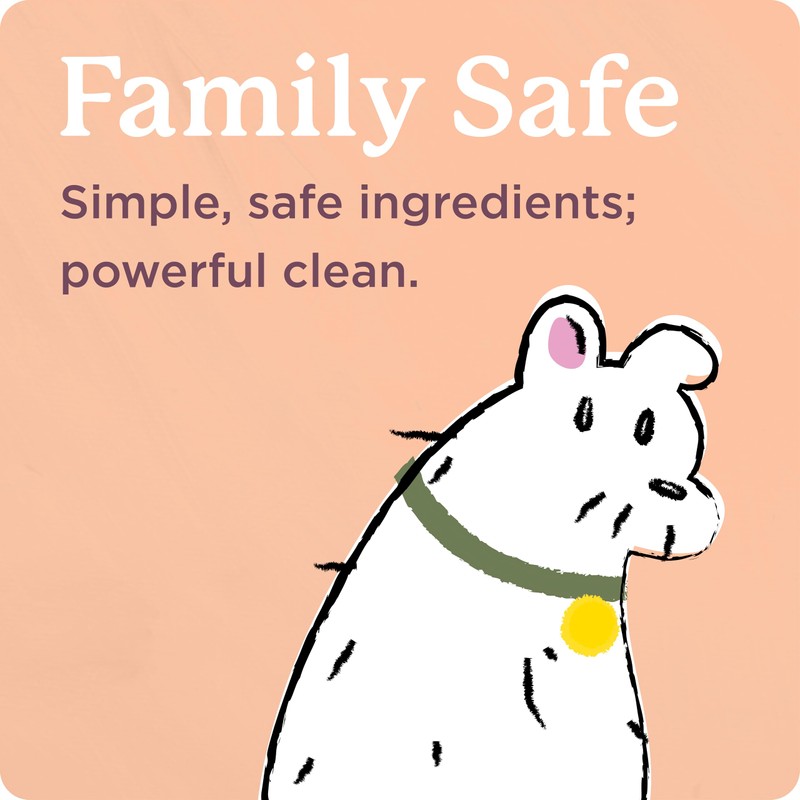 Shaw Floors Carpet Cleaner| Stain & Soil Remover for Carpet,