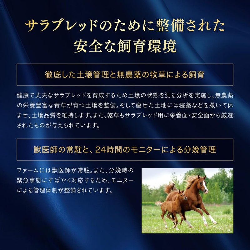 Esthe Pro Labo Placenta Vis Granpro 30 Tablets, Thoroughbred Horses