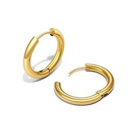U7 Women's Hoop Earrings, Surgical Stainless Steel, Hypoallergenic, 18K Gold, Stylish, Silver, Set of 2, 20G, 20 mm