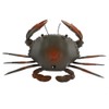 Funny High Simulation Remote Control Infrared Animal Crab Kid Trick