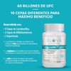 Probióticos 60 Billones con Enzimas Digestivas de Piña Chía Espinaca