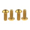 Dingtai M5x12mm Titanium Bolt Torx for Bicycle Bottle Cage 4pcs