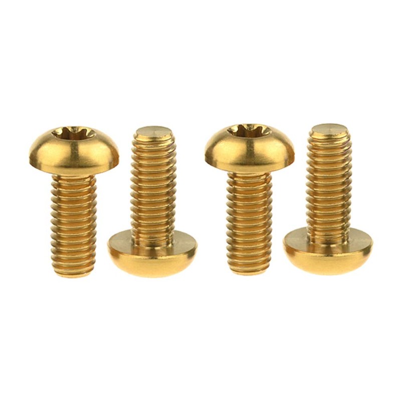 Dingtai M5x12mm Titanium Bolt Torx for Bicycle Bottle Cage 4pcs