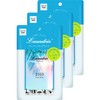 2023 Fresh Mojito 2023 Paper Fragrance, Set of 3