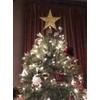 Nyicey Decoración para árbol de Navidad con 5 Puntos de