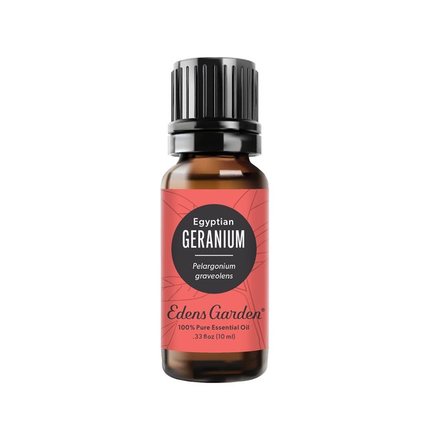 Edens Garden Geranium- Egyptian Essential Oil, 100% Pure Therapeutic Grade (Undiluted Natural/Homeopathic Aromatherapy Scented Essential Oil Singles) 10 ml