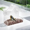 Clear Window Bird Feeder with Suction Cups – Transparent Acrylic
