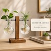 Desktop Hydroponic Plant Propagation Vase with Wooden Stand and 2