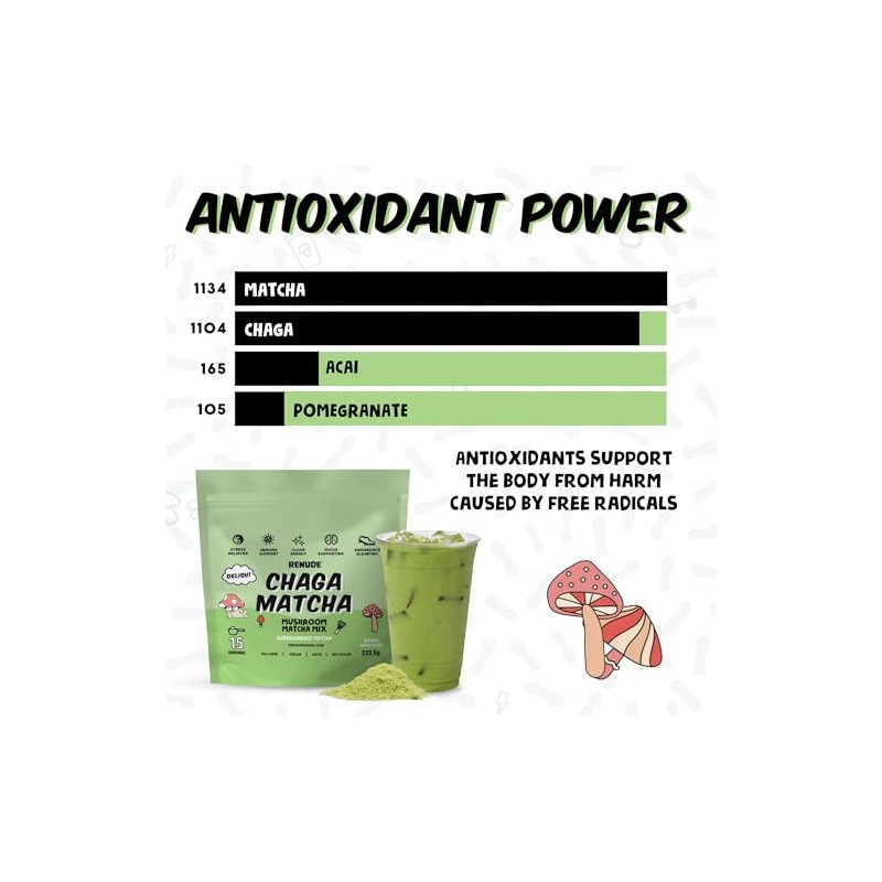 Renude Chaga Matcha - Polvo De Hongo Chaga, Bebida Superalimenticia