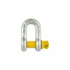 Romak 868530 2T Galvanized D Shackle, 13 mm Thickness