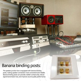 Generic Audio Wall Plate | Speaker Jack Plate | 4-Port Audio Panel | White | 10.5 x 3 cm | Compatible with Speakers, Headphones, Microphones